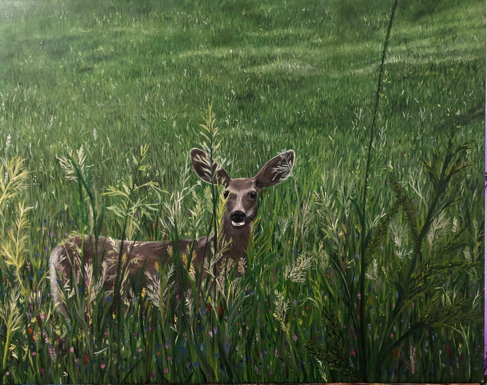Oh deer