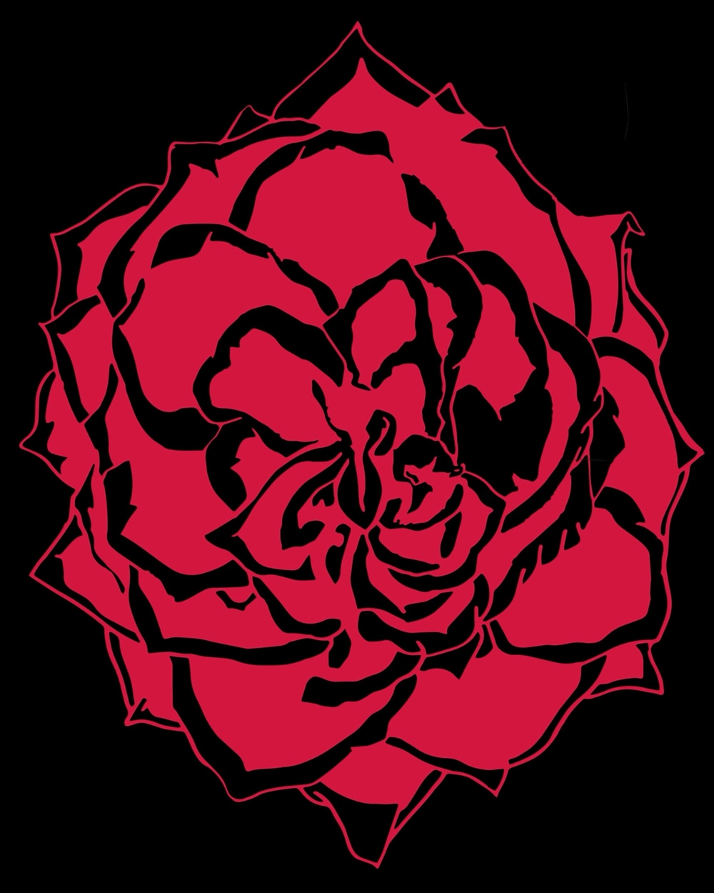 Duo Tone Rose