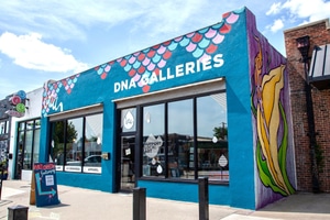 DNA Galleries