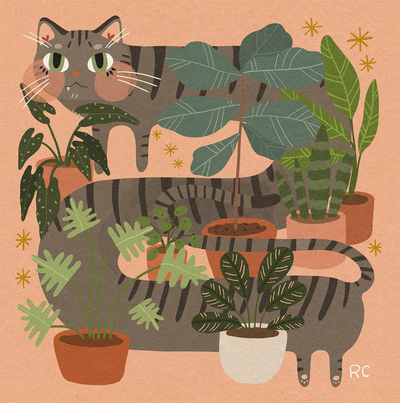 Cat in Plants (framed)