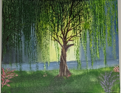Under the Willow Tree