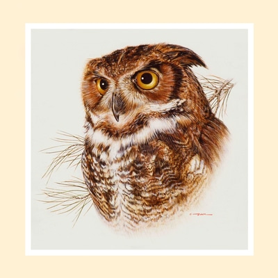 GREAT HORNED OWL (Sold)