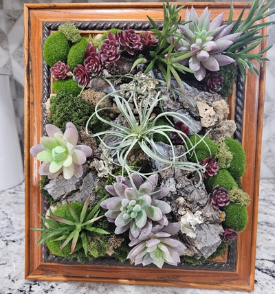 Succulent garden